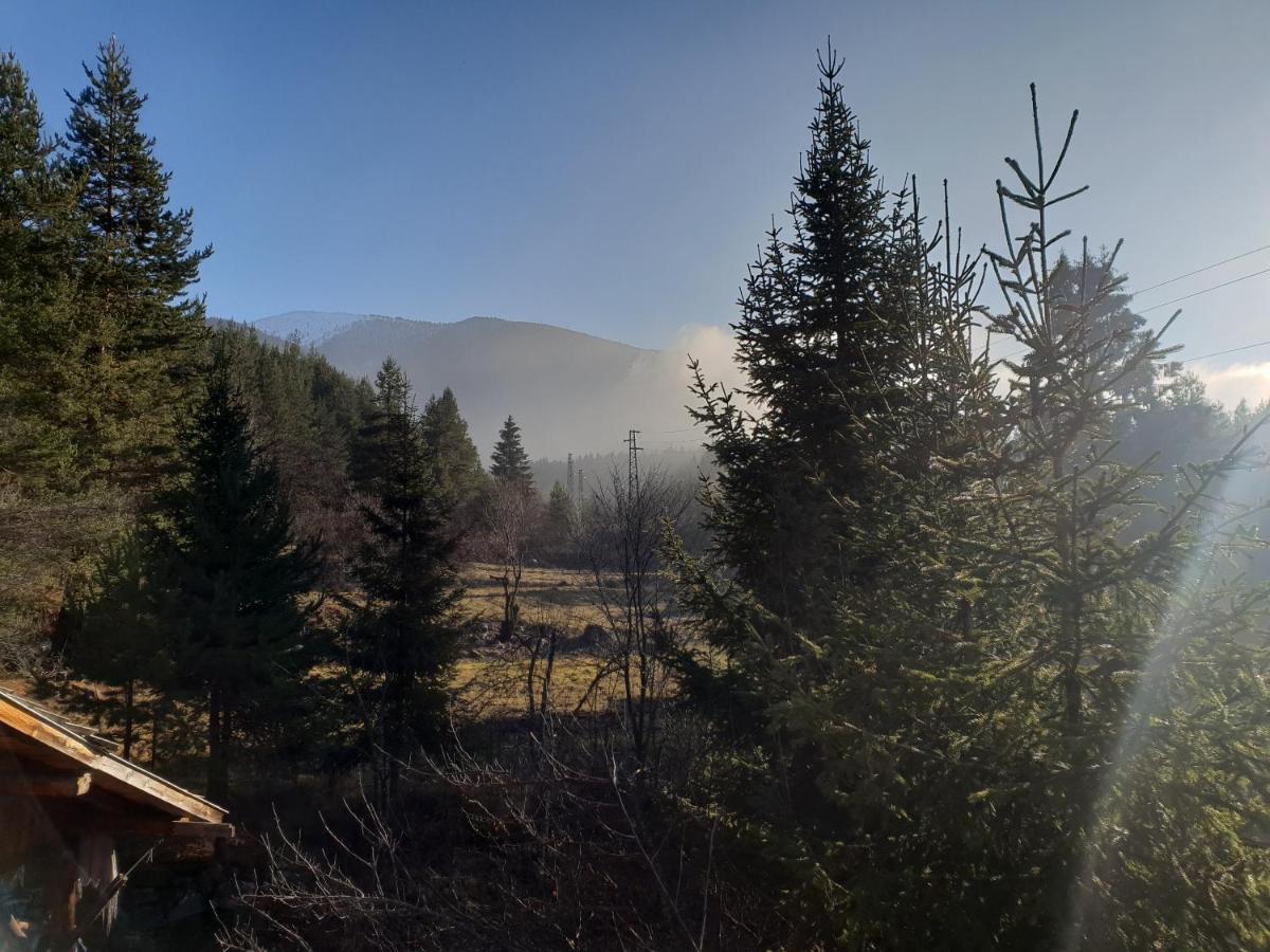 Vila Kosherinata Bansko Exteriér fotografie